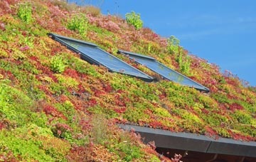 Carlton In Lindrick living roof systems