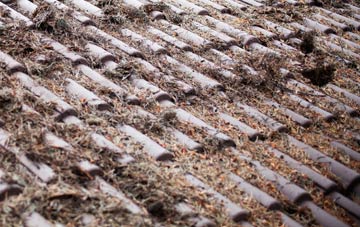 Carlton In Lindrick roof cleaning companies