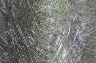 Carlton In Lindrick fibreglass roof work